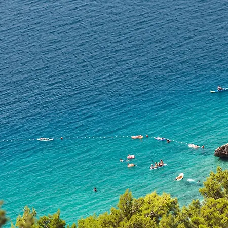 Bona Fide Sea View * Mimice